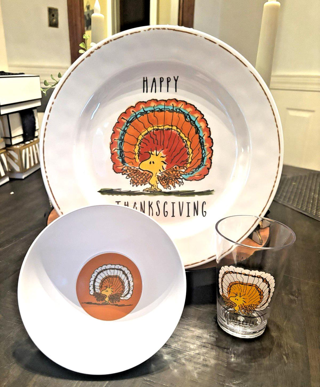 Pottery Barn holiday Snoopy Dinner Set PLATE Thanksgiving Peanuts gift Disney