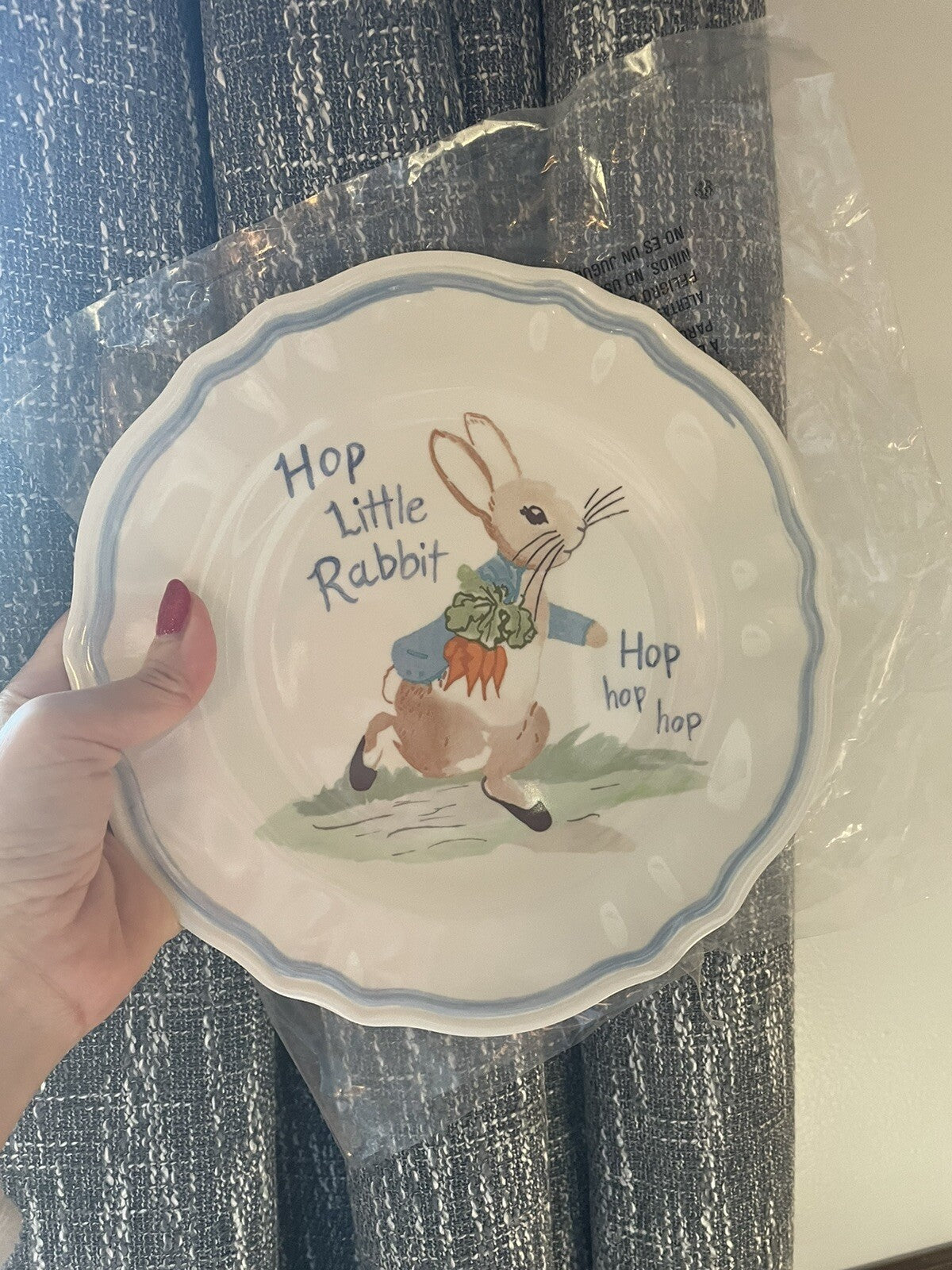 Disney Pottery Barn Peter rabbit PLATE Easter SET 2 bunny holiday party kid =