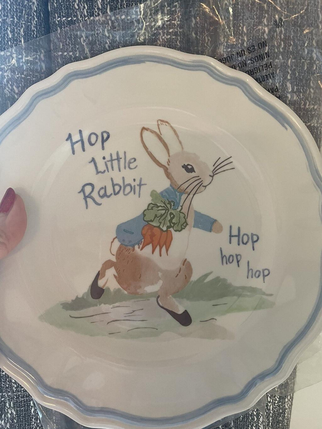 Disney Pottery Barn Peter rabbit PLATE Easter SET 2 bunny holiday party kid =