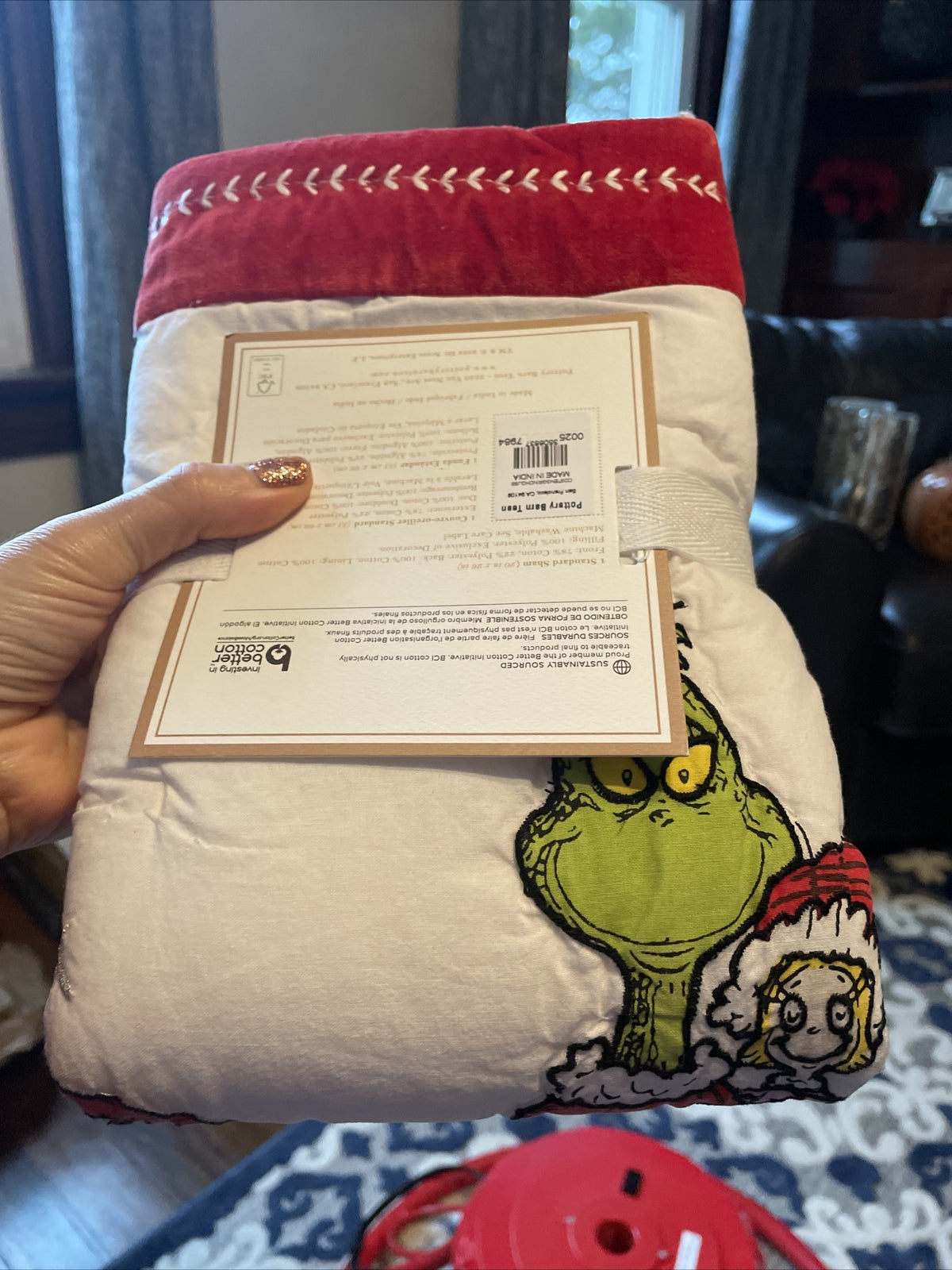Pottery Barn Grinch Christmas Seuss Holiday Gift party Disney kid pillow sham '