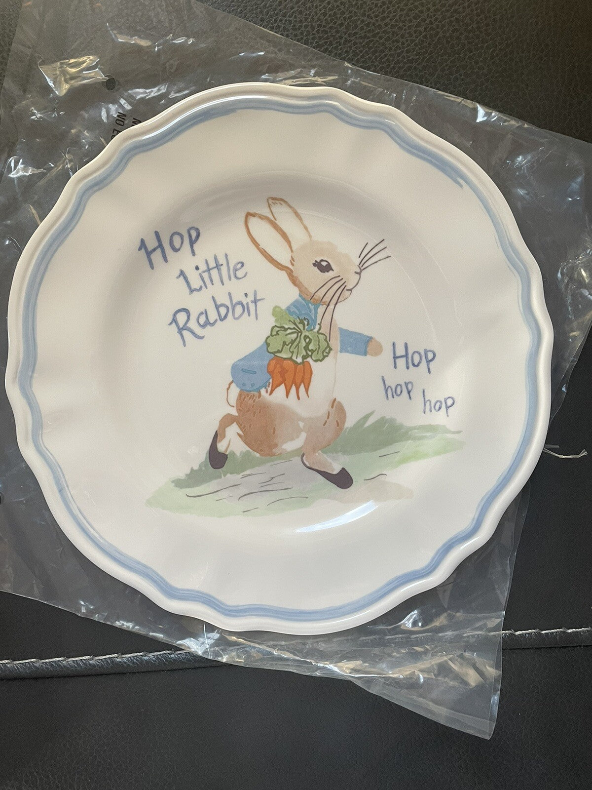 Disney Pottery Barn Peter rabbit PLATE Easter SET 2 bunny holiday party kid =