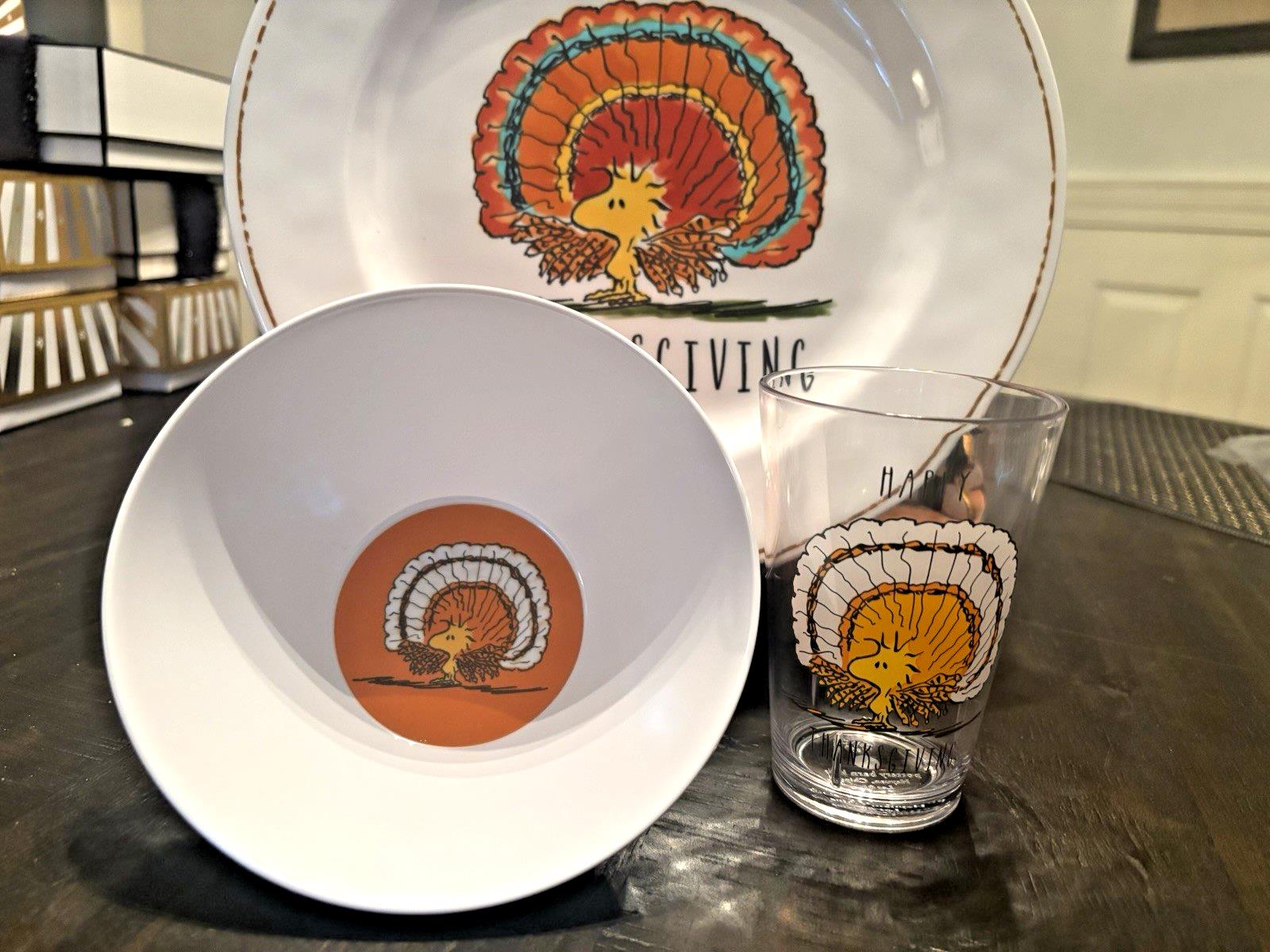 Pottery Barn holiday Snoopy Dinner Set PLATE Thanksgiving Peanuts gift Disney