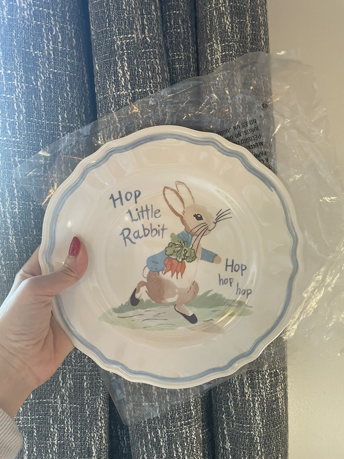 Disney Pottery Barn Peter rabbit PLATE Easter SET 2 bunny holiday party kid =