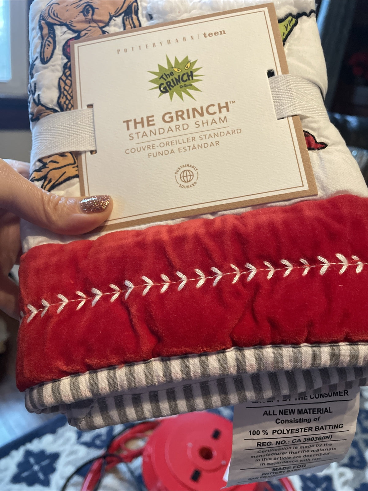 Pottery Barn Grinch Christmas Seuss Holiday Gift party Disney kid pillow sham '