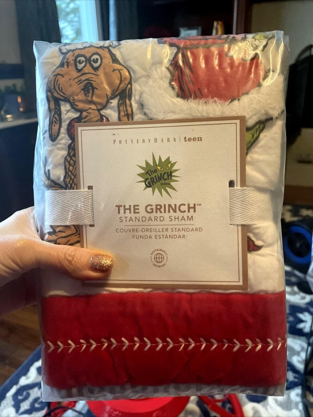 Pottery Barn Grinch Christmas Seuss Holiday Gift party Disney kid pillow sham '