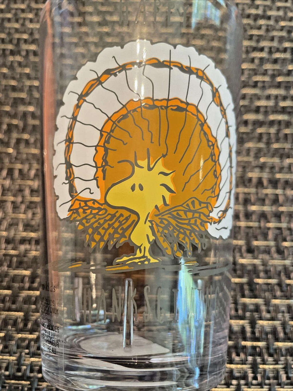 Pottery Barn Kids Snoopy peanuts Thanksgiving Holiday party Disney gift SET 4 a