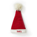Pottery Barn baby Christmas santa hat holiday party gift picture Disney pom m