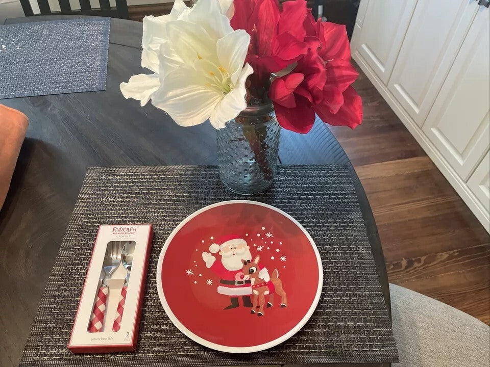 Pottery Barn holiday Rudolph Santa Christmas PLATE +UTENSIL Disney party SET 4 !