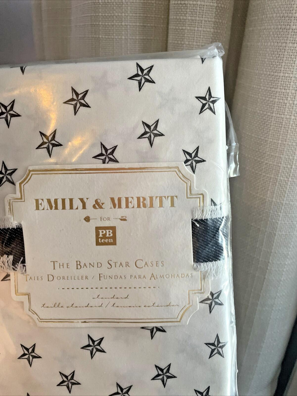 pottery barn Disney holiday Emily Meritt school space SET 2 kid Pillowcase