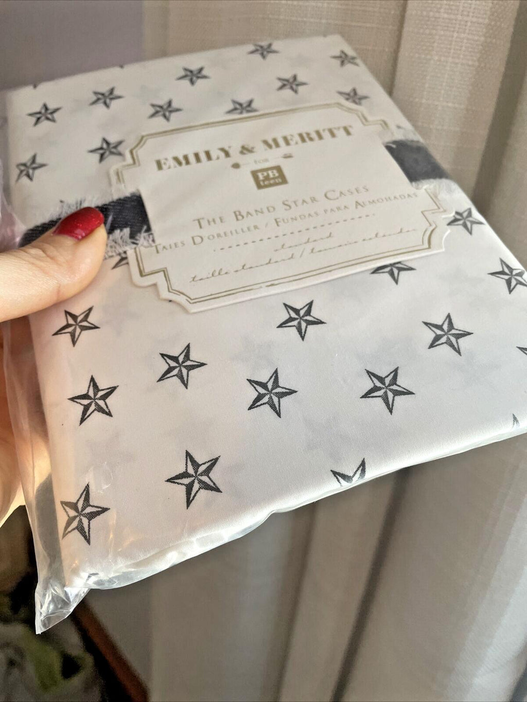 pottery barn Disney holiday Emily Meritt school space SET 2 kid Pillowcase