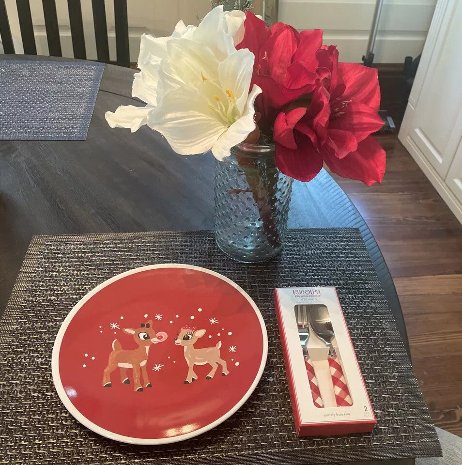 Pottery Barn holiday Rudolph Santa Christmas DINNER PLATE SET Disney party Kid