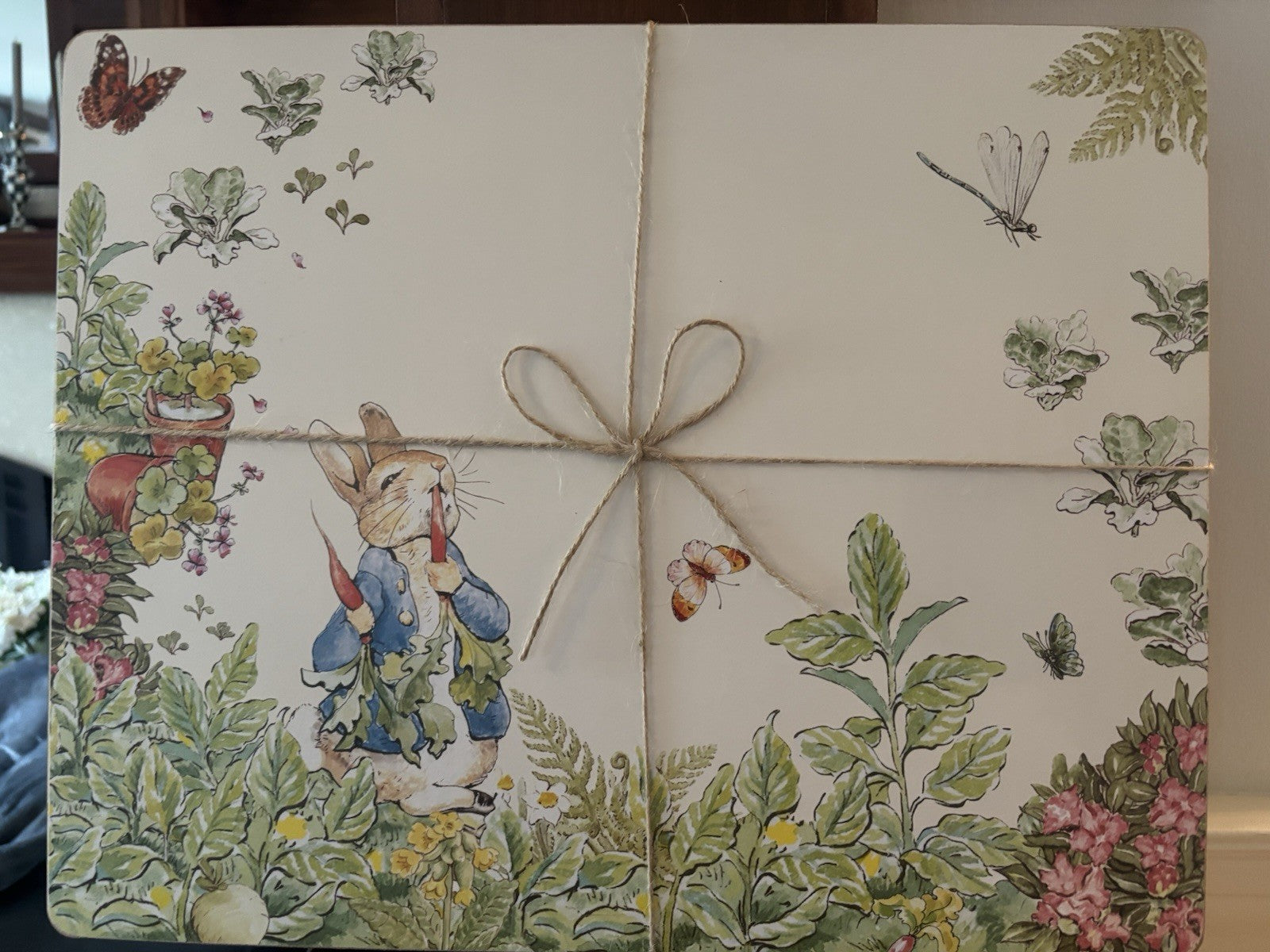 Pottery Barn Peter Rabbit placemat Disney holiday gift Easter party school kid a