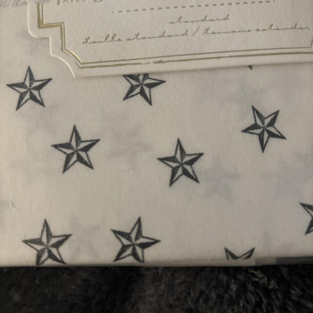 pottery barn Disney holiday Emily Meritt school space SET 2 kid Pillowcase