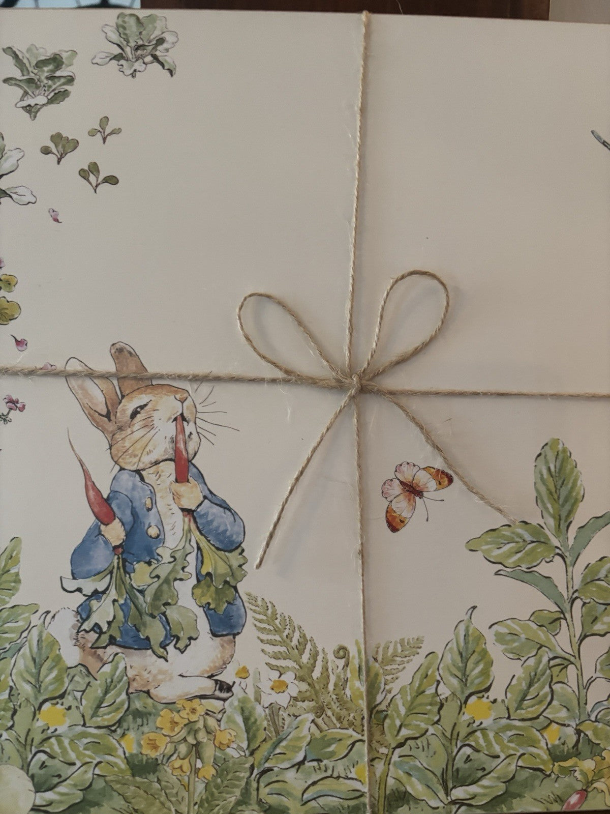 Pottery Barn Peter Rabbit placemat Disney holiday gift Easter party school kid a