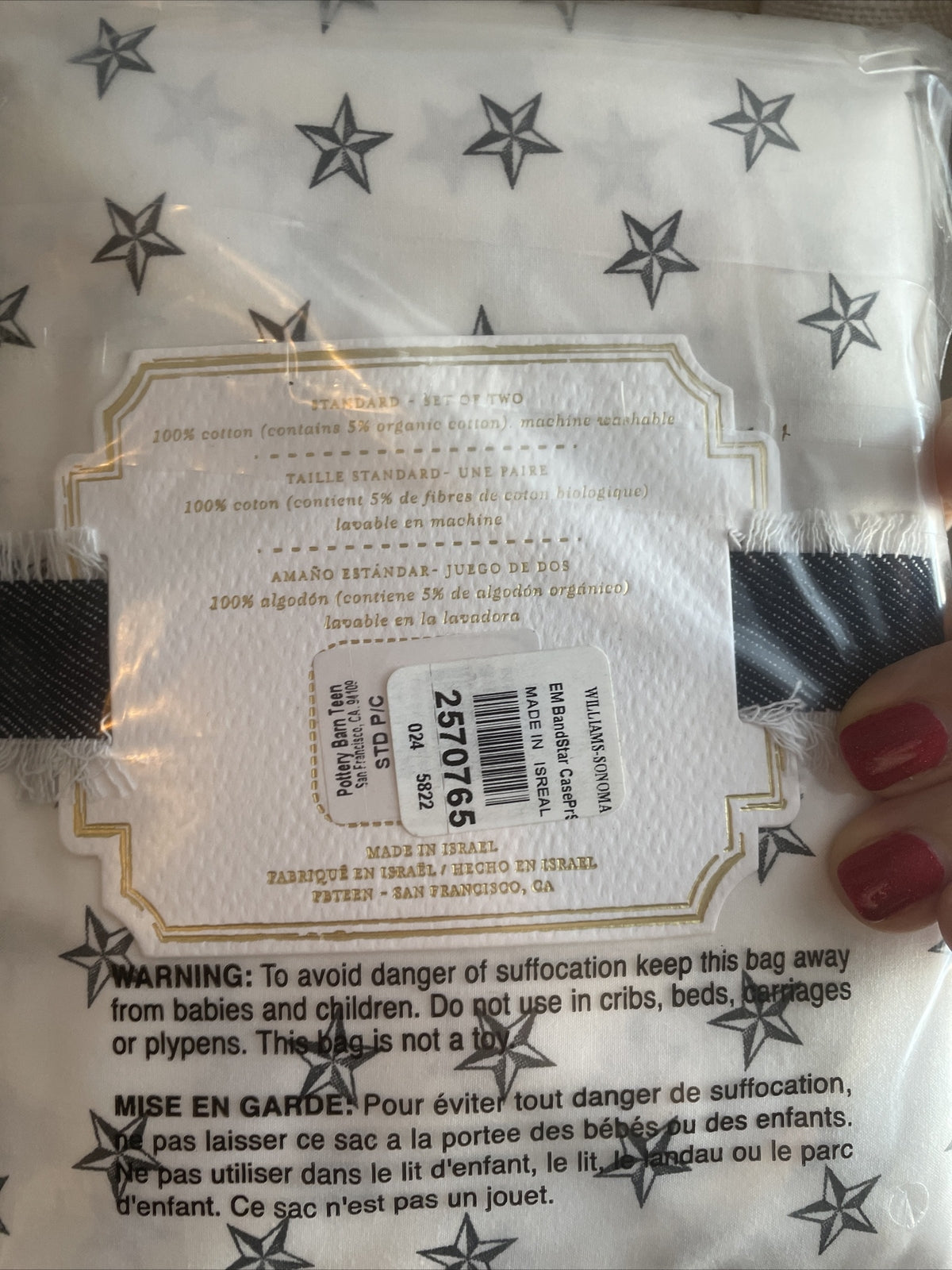 pottery barn Disney holiday Emily Meritt school space SET 2 kid Pillowcase