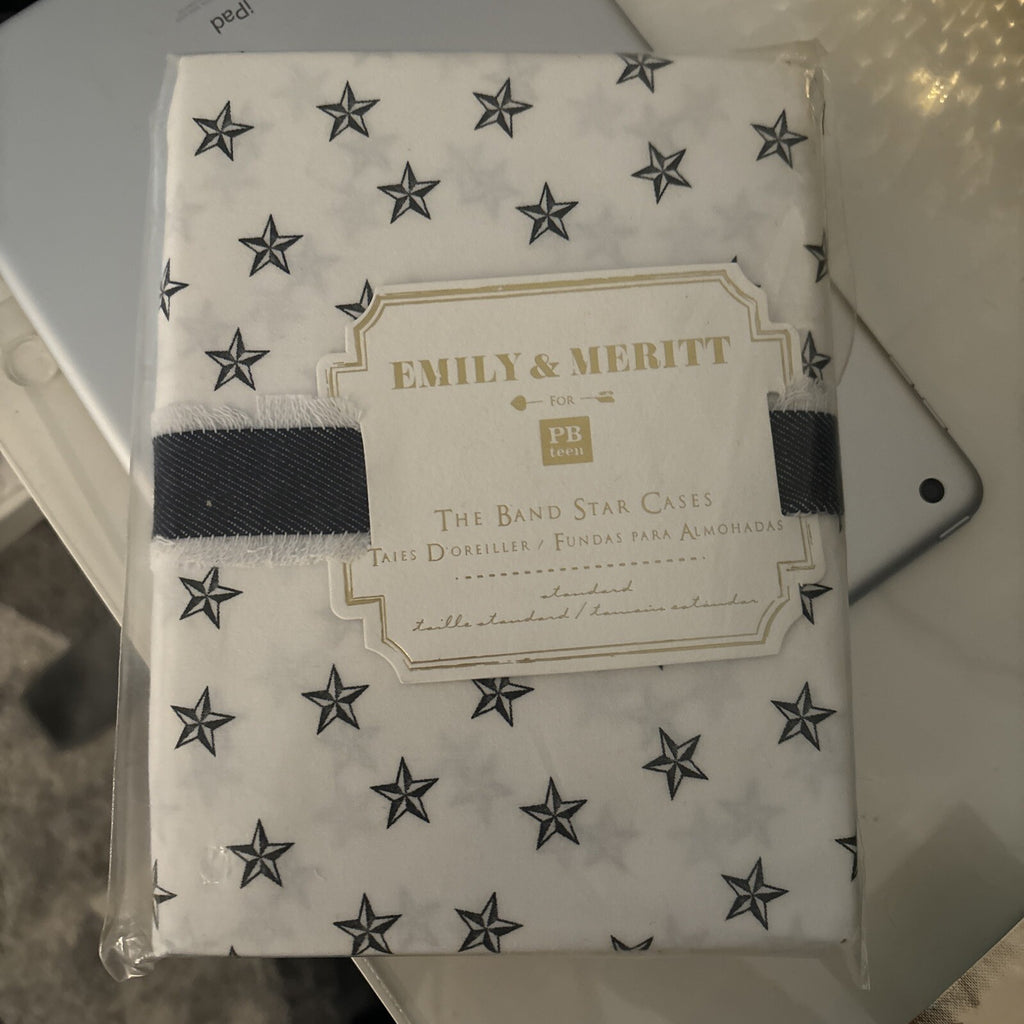 pottery barn Disney holiday Emily Meritt school space SET 2 kid Pillowcase