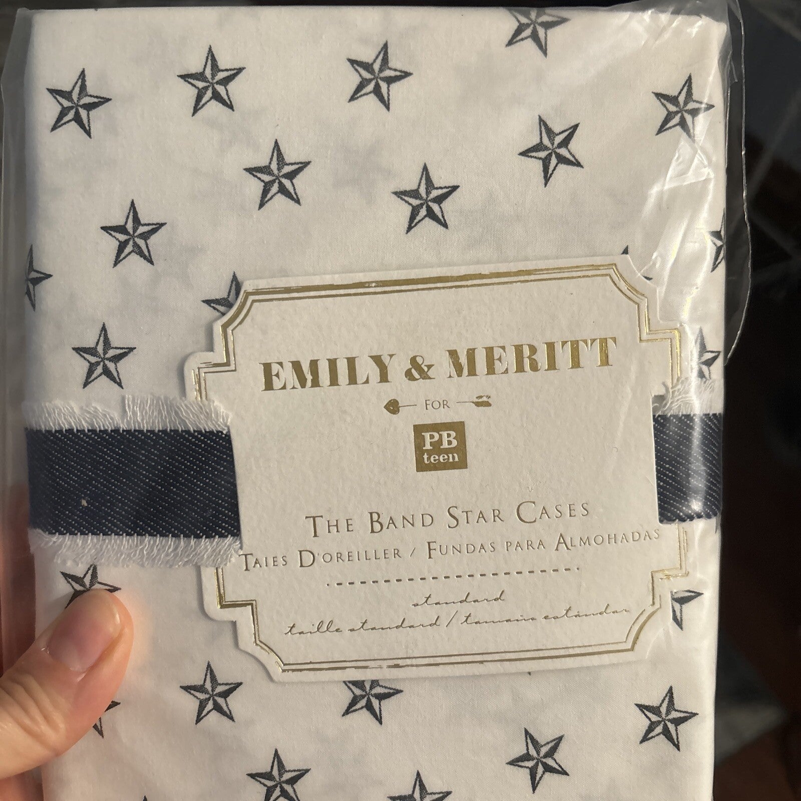 pottery barn Disney holiday Emily Meritt school space SET 2 kid Pillowcase
