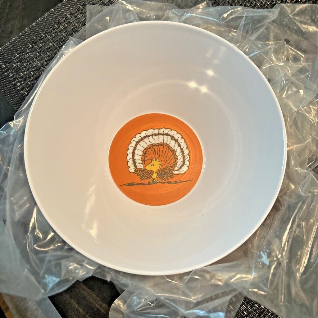 Disney Snoopy Pottery Barn plate cup Bowl UTENSIL Peanuts Party Disney SET 16 ]
