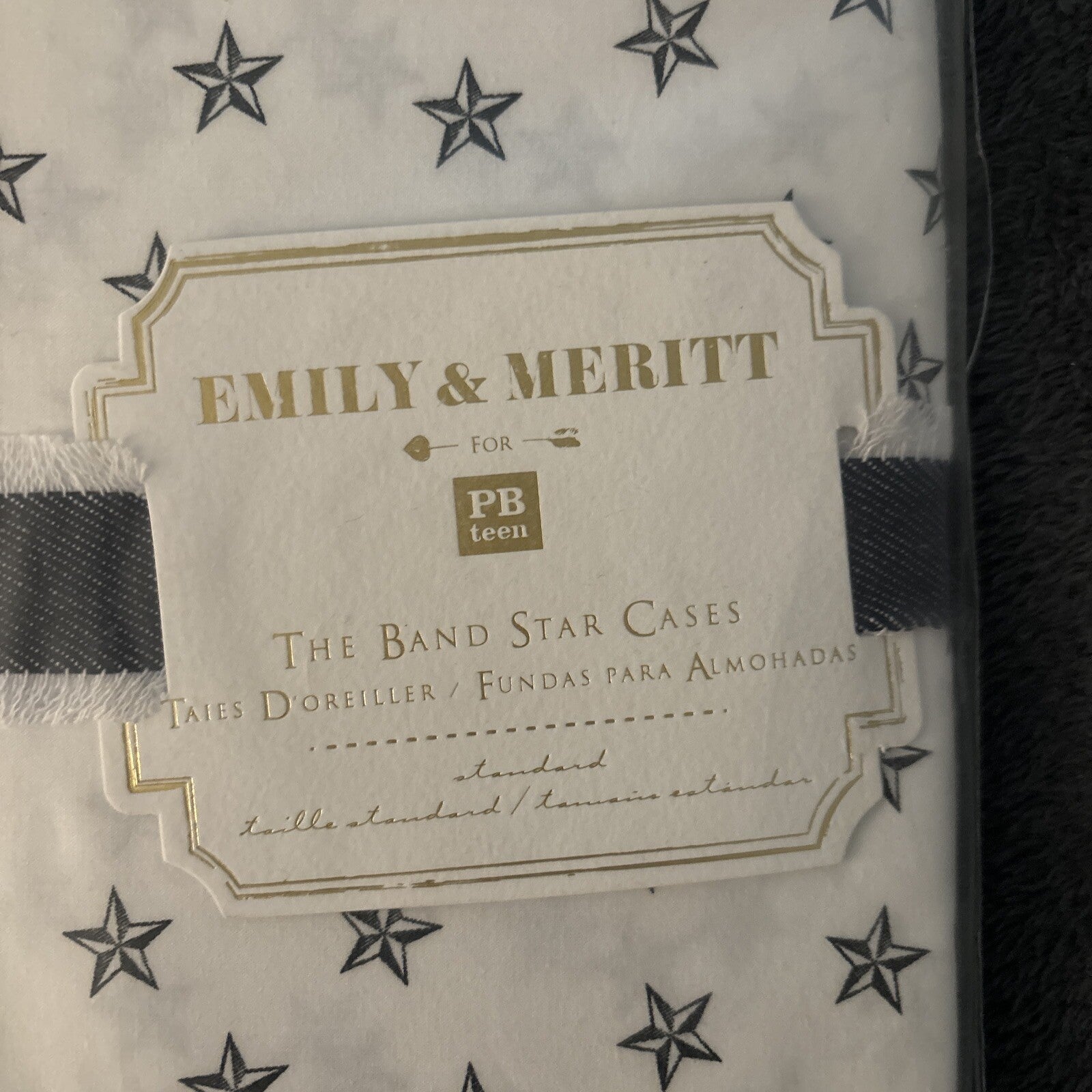 pottery barn Disney holiday Emily Meritt school space SET 2 kid Pillowcase