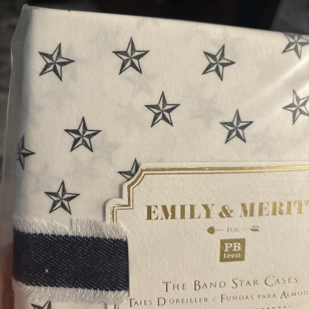 pottery barn Disney holiday Emily Meritt school space SET 2 kid Pillowcase