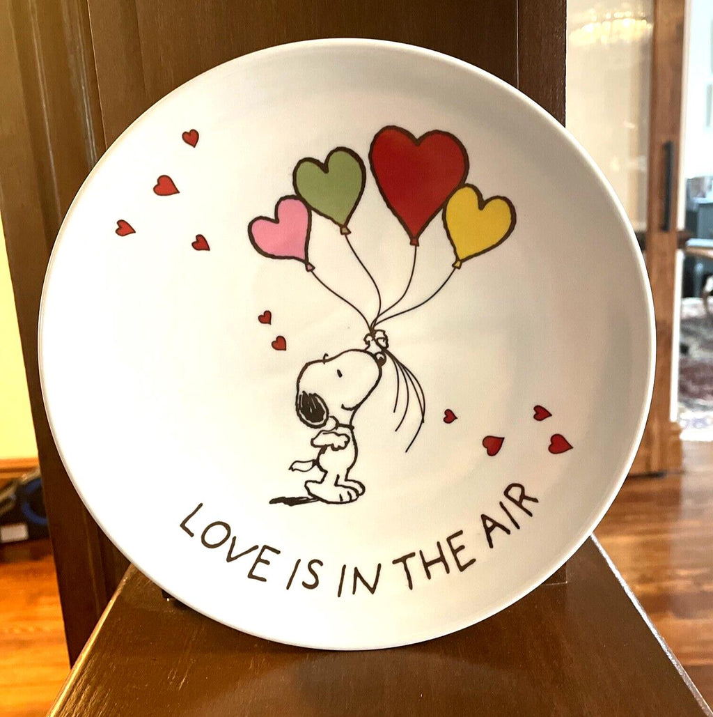 Snoopy Pottery Barn Peanuts PLATE Disney holiday party school Birthday gift m