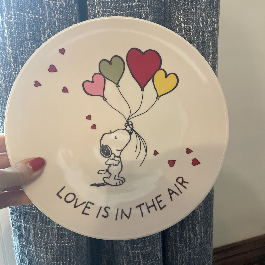 Snoopy Pottery Barn Peanuts PLATE Disney holiday party school Birthday gift m