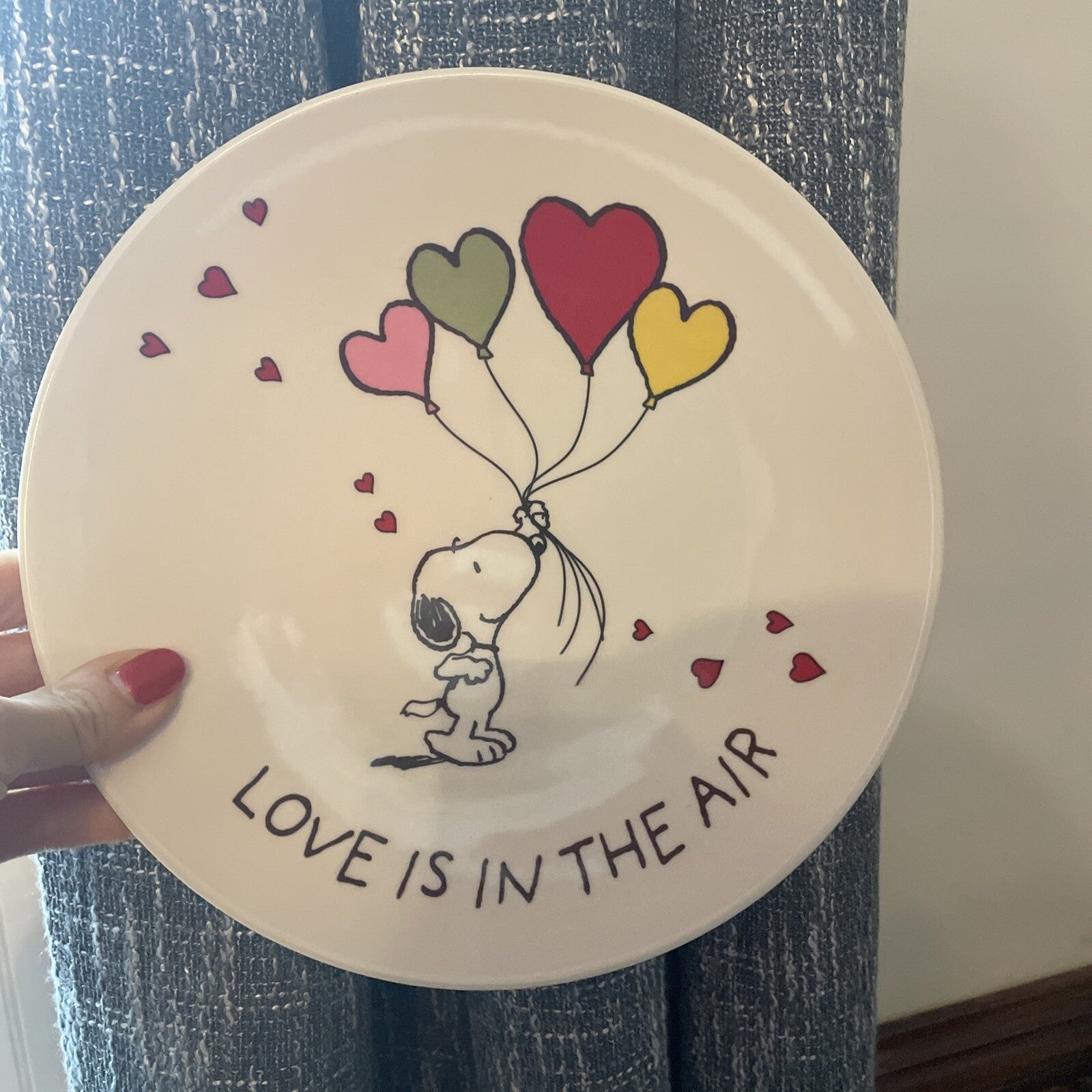 Snoopy Pottery Barn Peanuts PLATE Disney holiday party school Birthday gift m