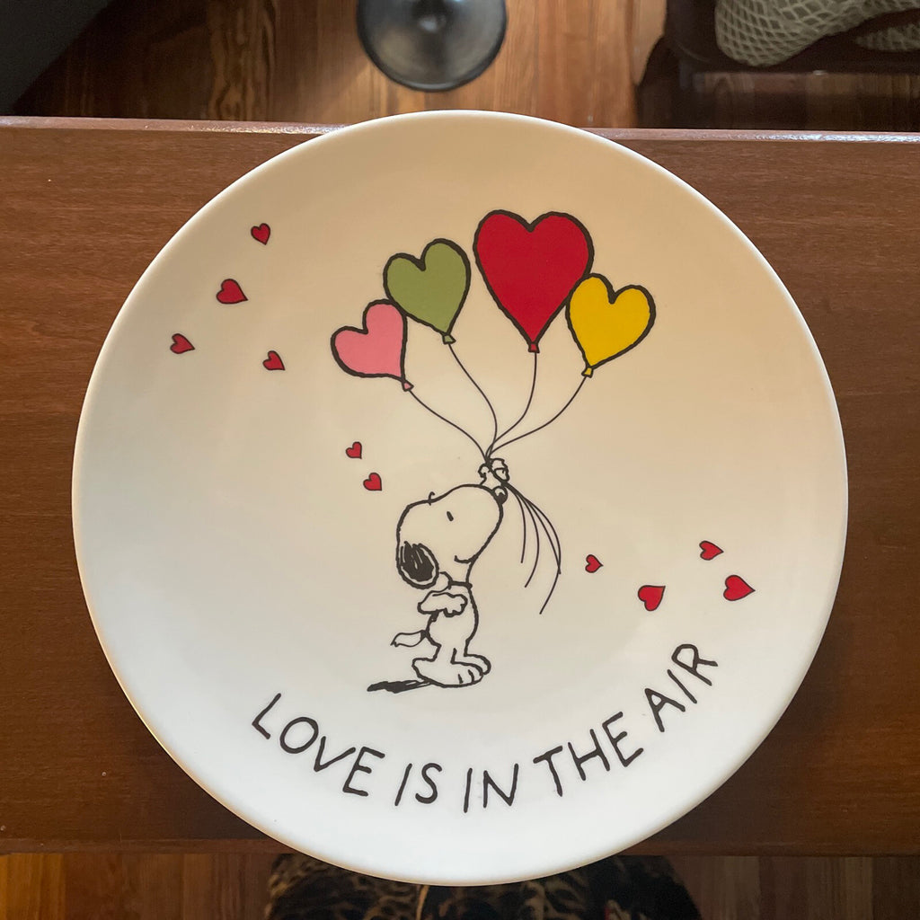 Snoopy Pottery Barn Peanuts PLATE Disney holiday party school Birthday gift m