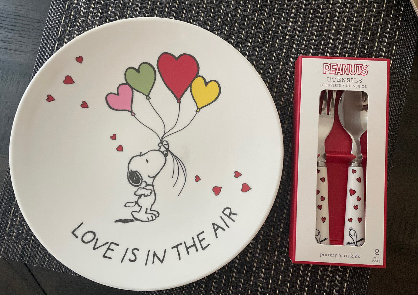 Snoopy Pottery Barn Peanuts PLATE Disney holiday party school Birthday gift m