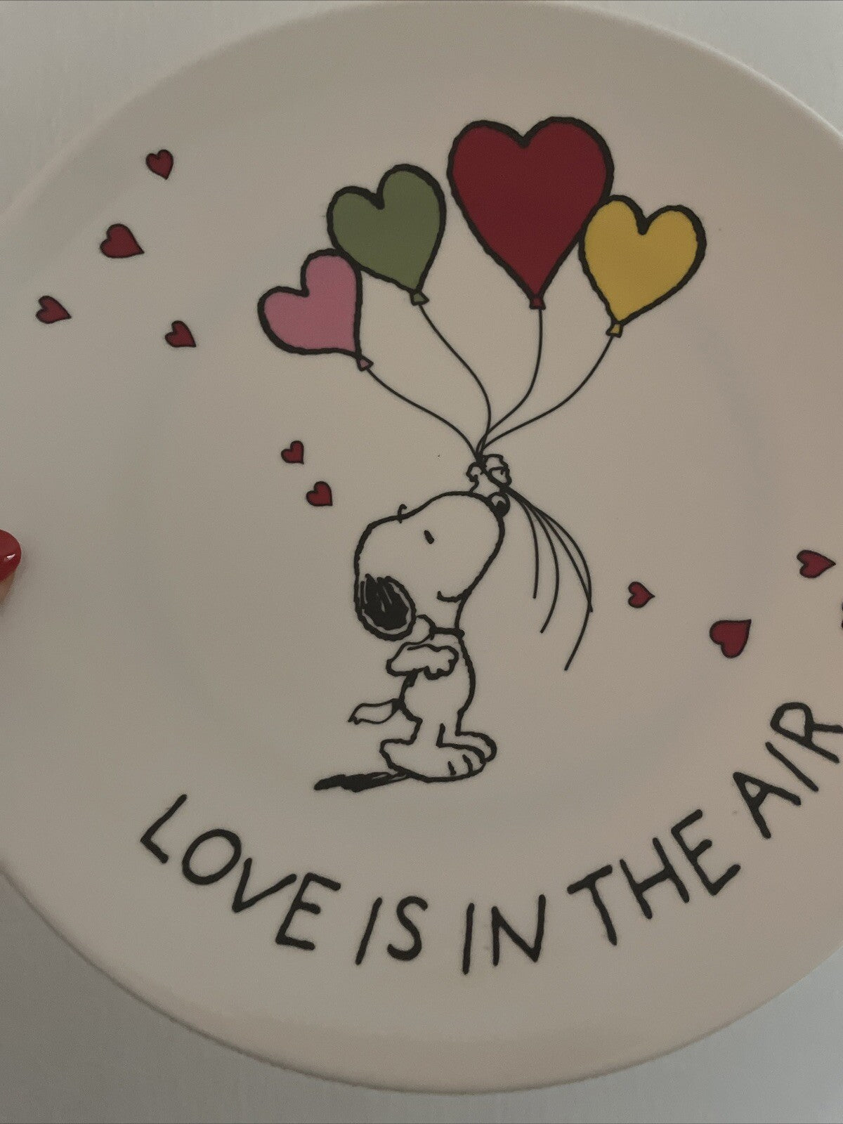Snoopy Pottery Barn Peanuts PLATE Disney holiday party school Birthday gift m