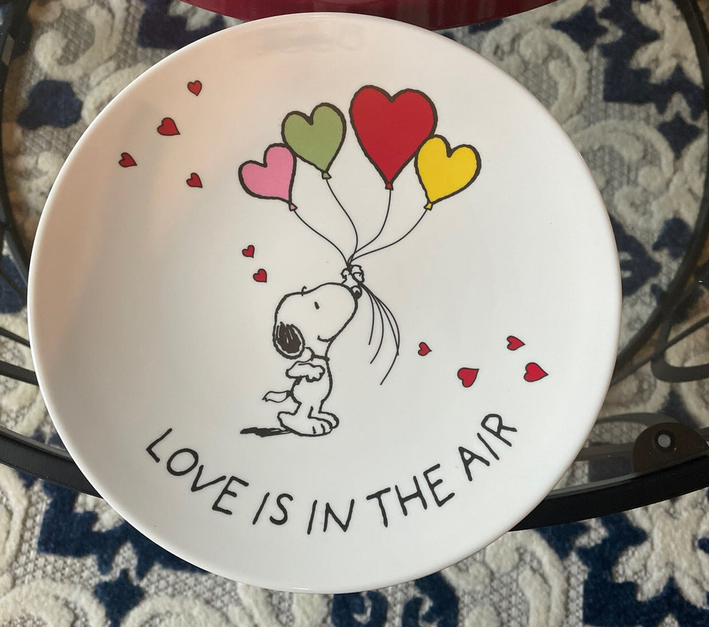 Snoopy Pottery Barn Peanuts PLATE Disney holiday party school Birthday gift m