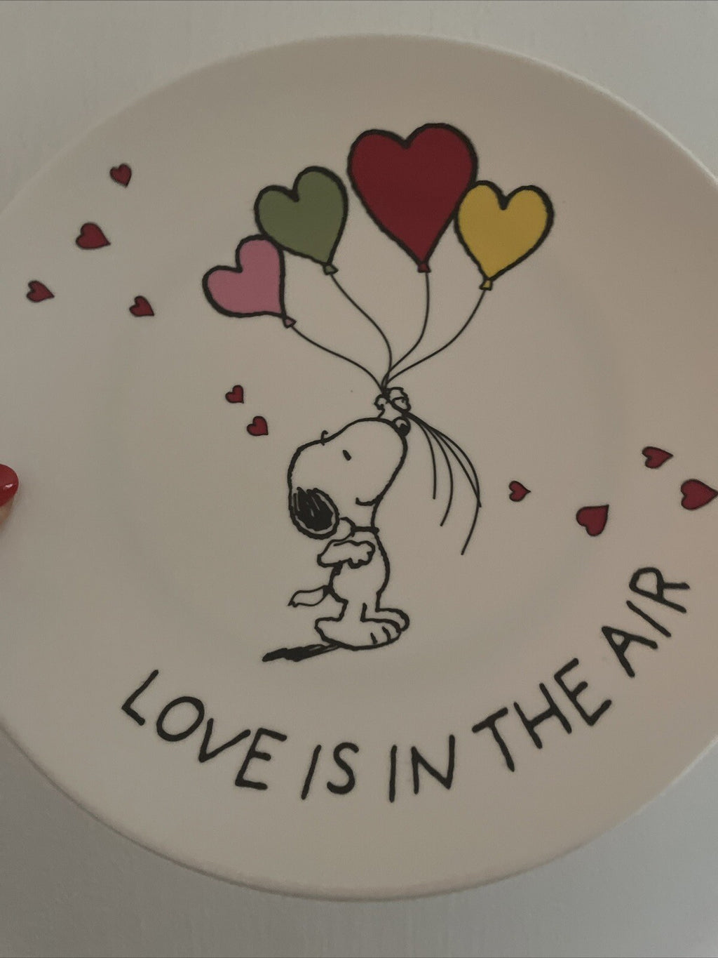 Snoopy Pottery Barn Peanuts PLATE Disney holiday party school Birthday gift m