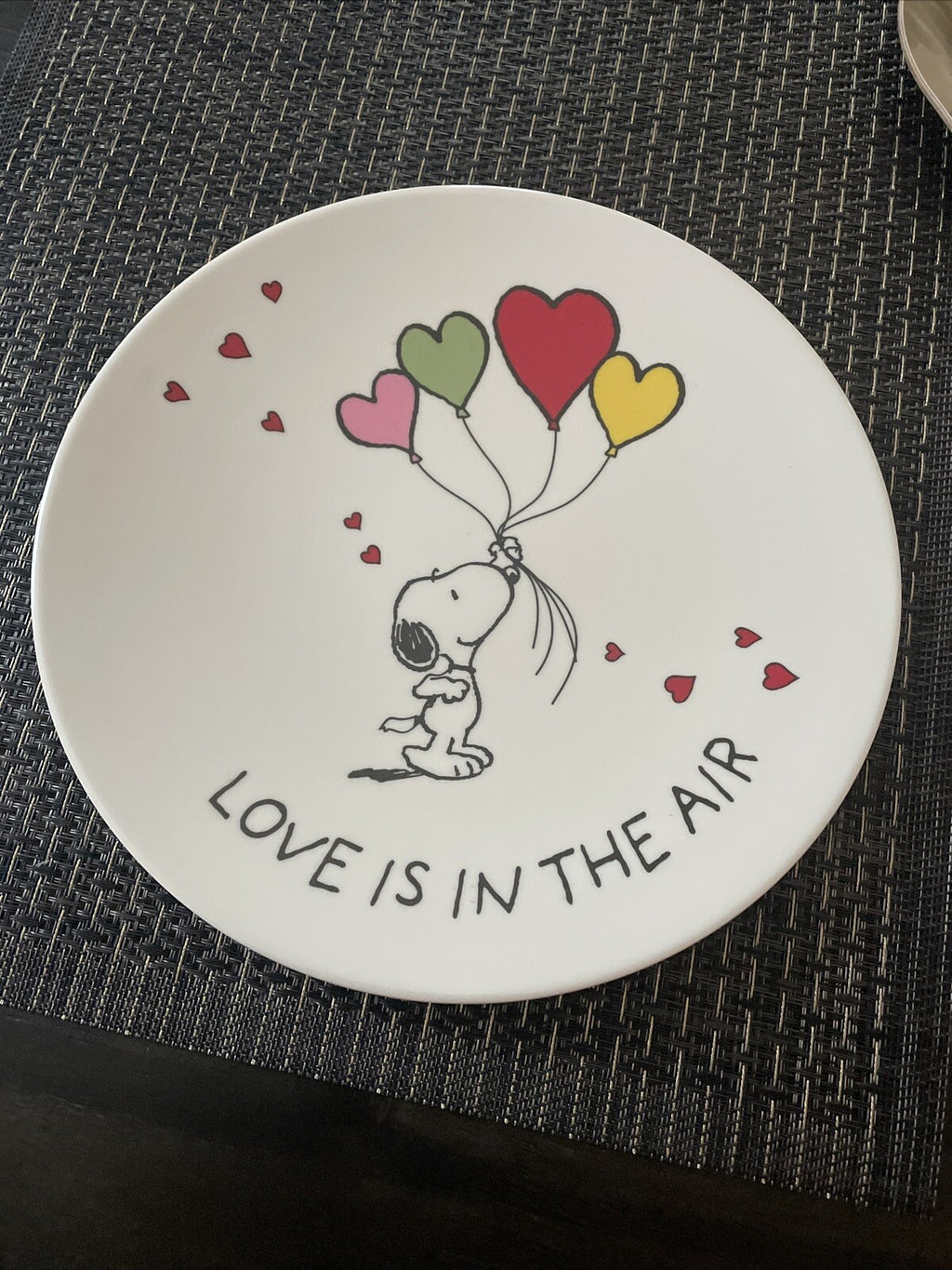 Snoopy Pottery Barn Peanuts PLATE Disney holiday party school Birthday gift m