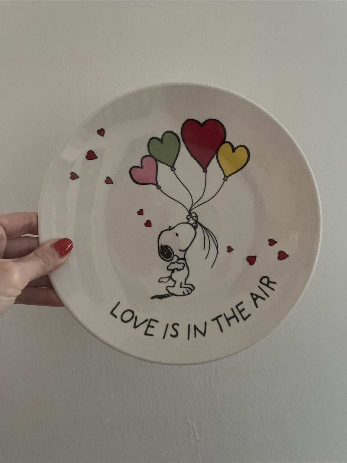 Snoopy Pottery Barn Peanuts PLATE Disney holiday party school Birthday gift m