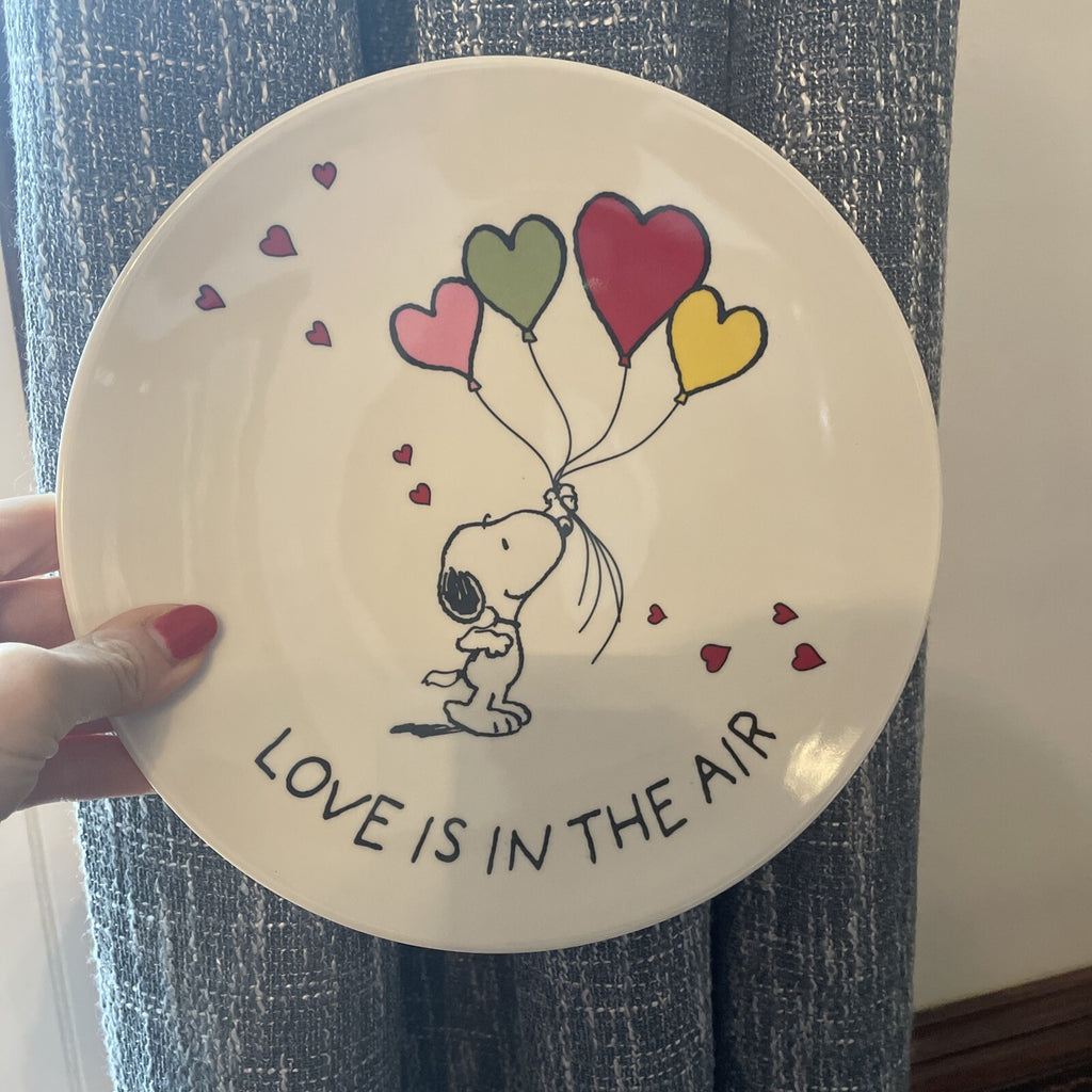 Snoopy Pottery Barn Peanuts PLATE Disney holiday party school Birthday gift m