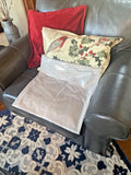 Disney West Elm Velvet Pillow cover sham Birthday Holiday Pottery barn gift =