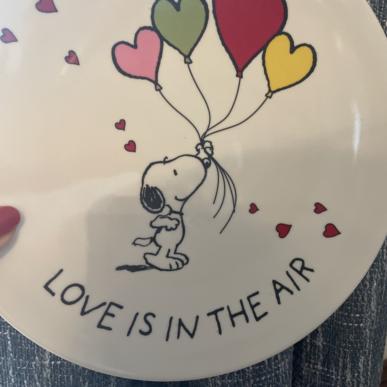 Snoopy Pottery Barn Peanuts PLATE Disney holiday party school Birthday gift m