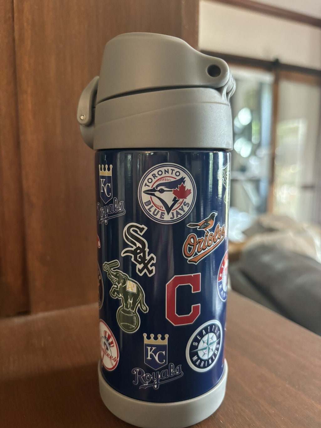 Pottery barn Baseball MLB WATER BOTTLE ball school sport pool holiday team .