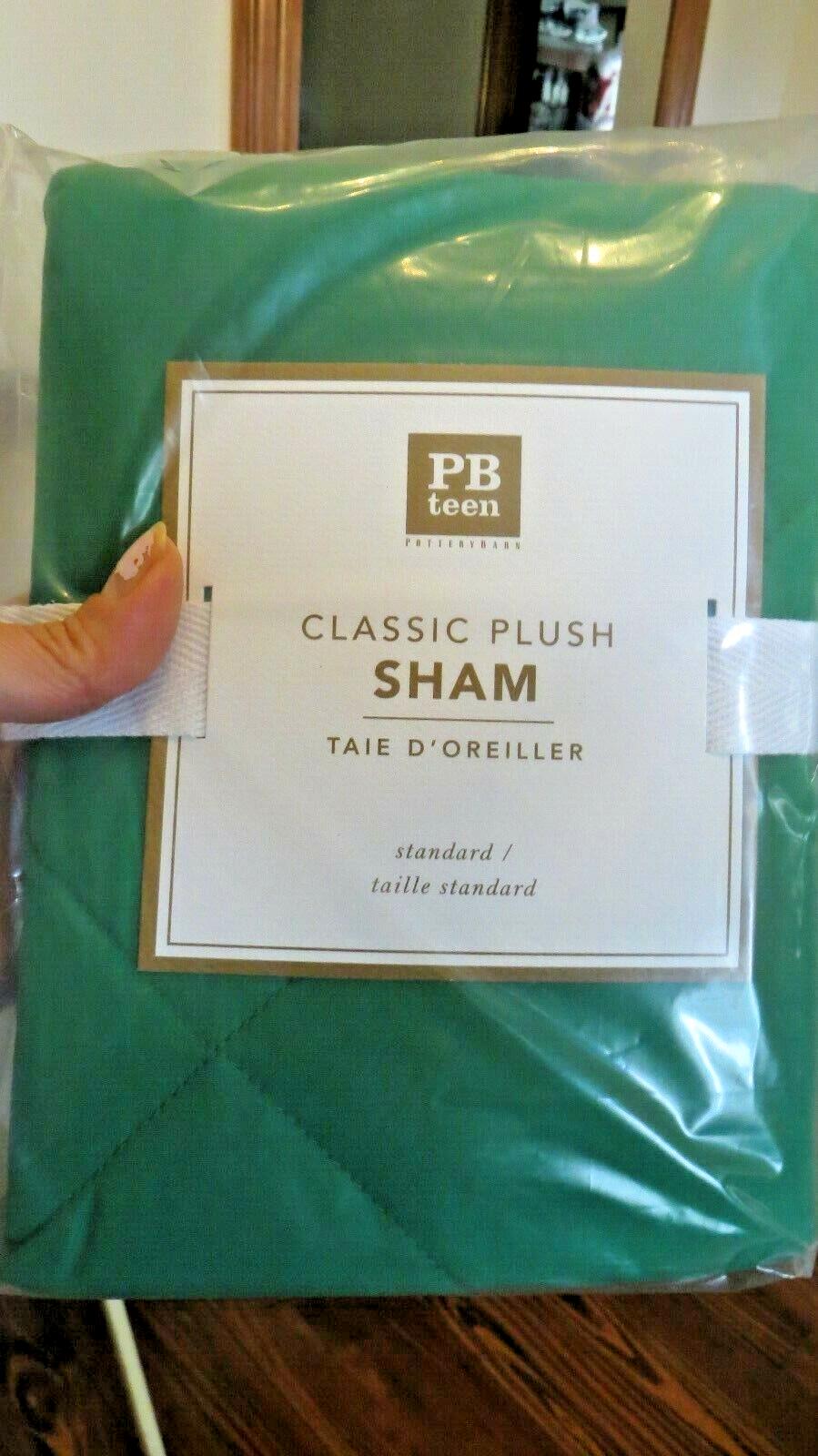 Pottery barn Pillow Sham holiday Disney Christmas ?? green space party Kids '