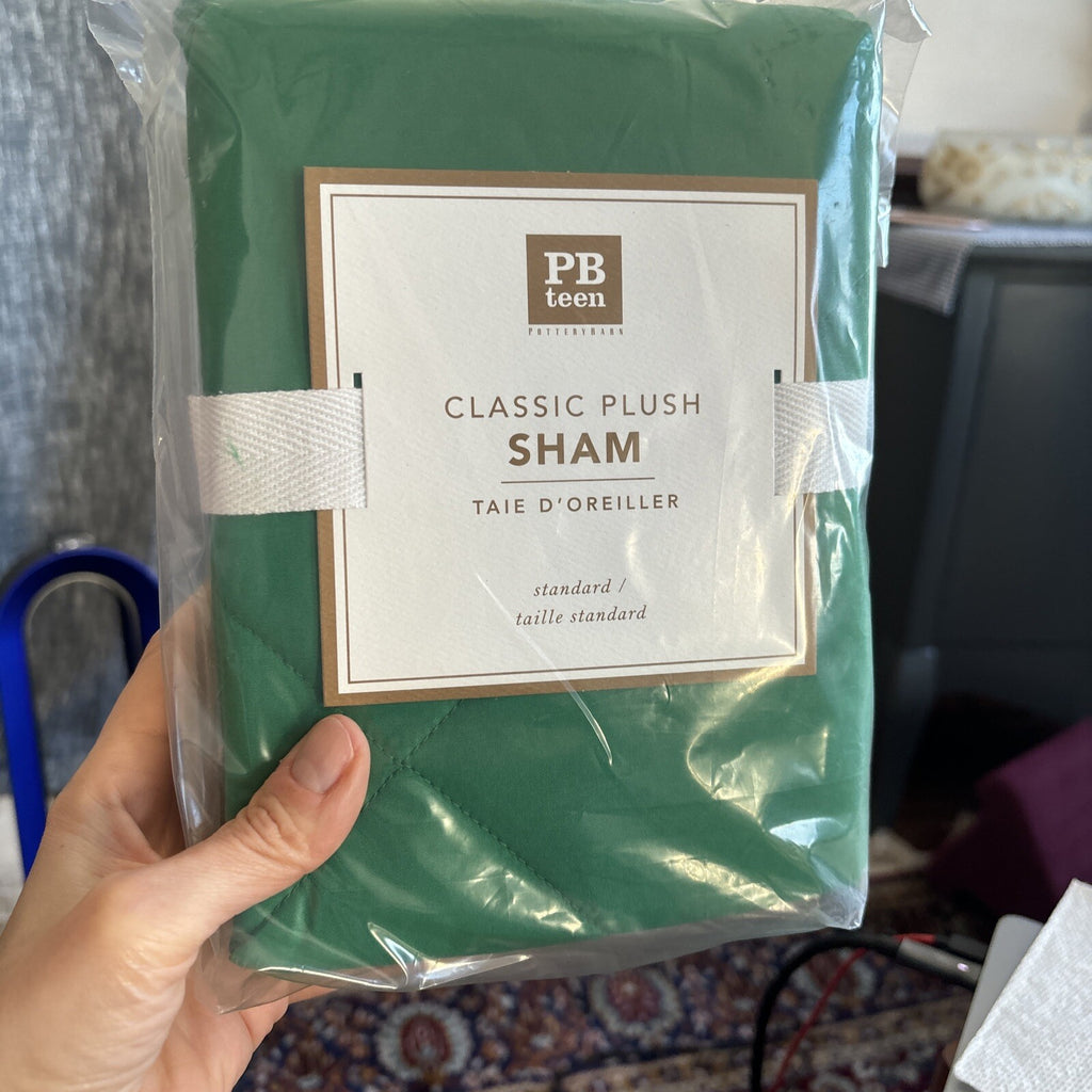 Pottery barn Pillow Sham holiday Disney Christmas ?? green space party Kids '