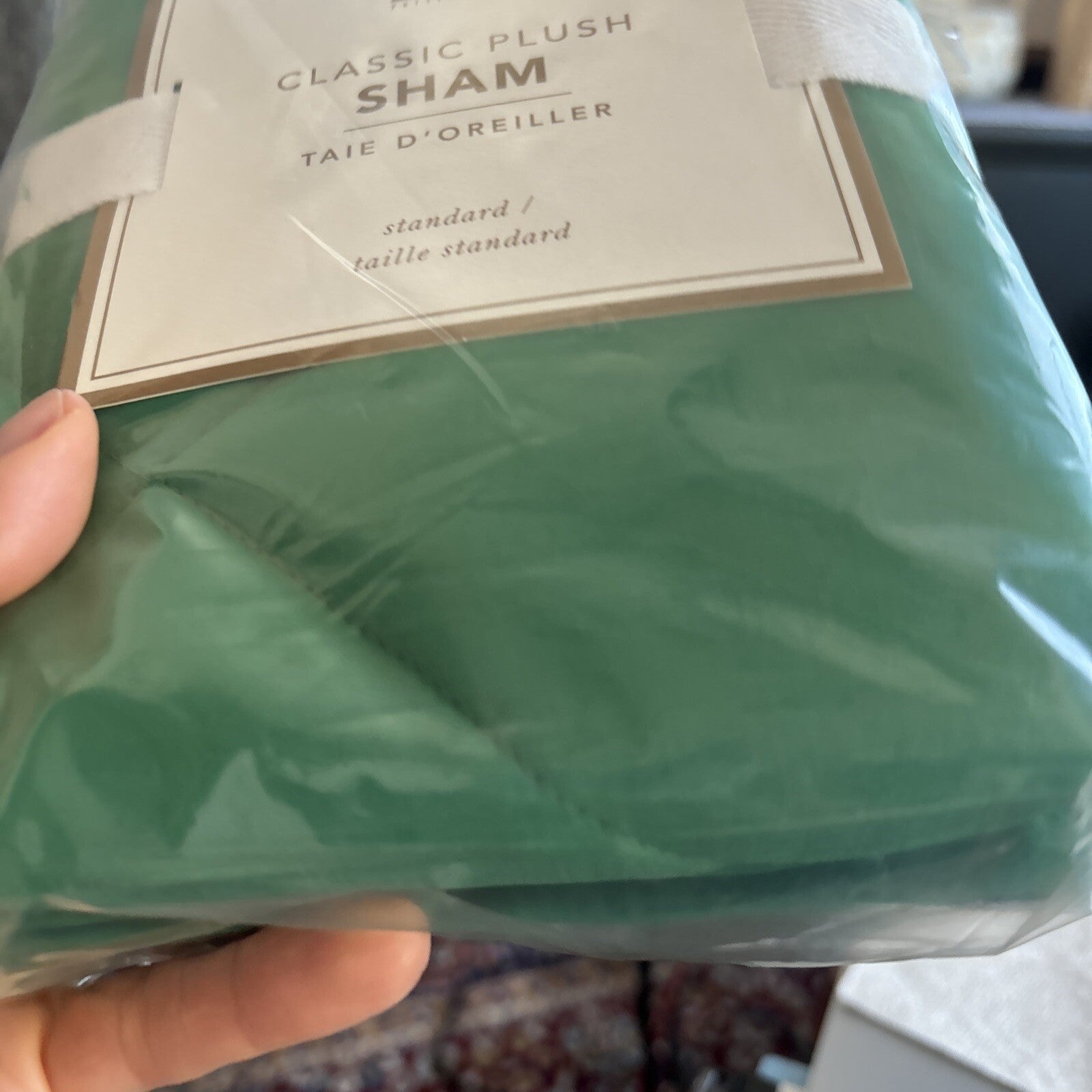 Pottery barn Pillow Sham holiday Disney Christmas ?? green space party Kids '