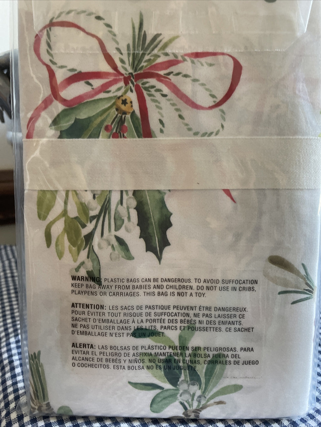 pottery barn Holiday Pillowcase Christmas party Mistletoe Disney gift SET 2