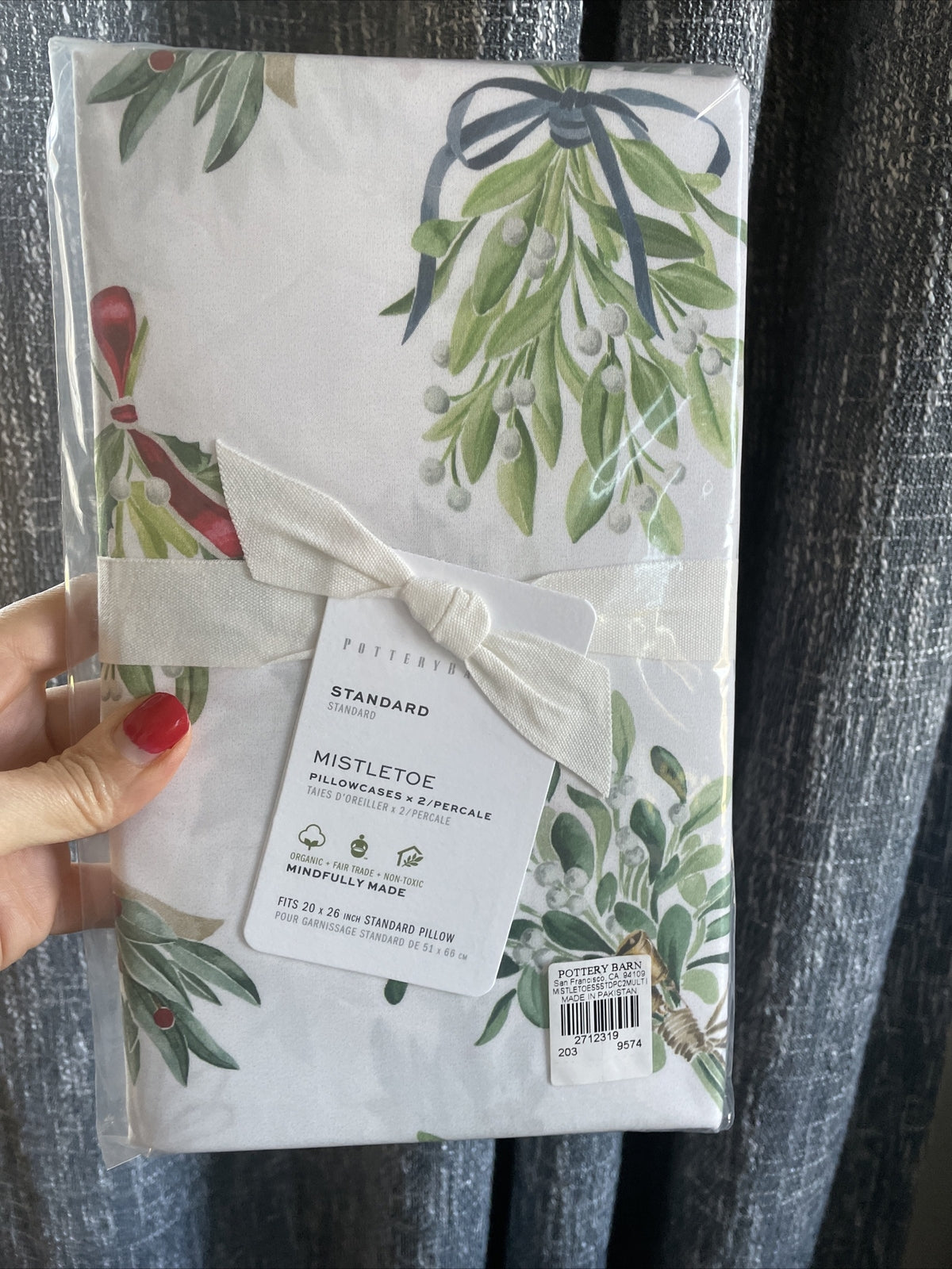 pottery barn Holiday Pillowcase Christmas party Mistletoe Disney gift SET 2