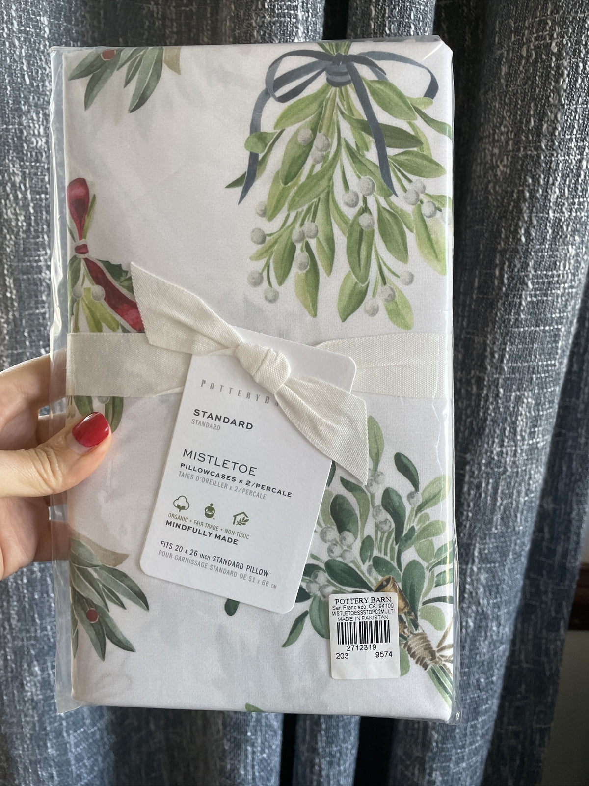 pottery barn Holiday Pillowcase Christmas party Mistletoe Disney gift SET 2