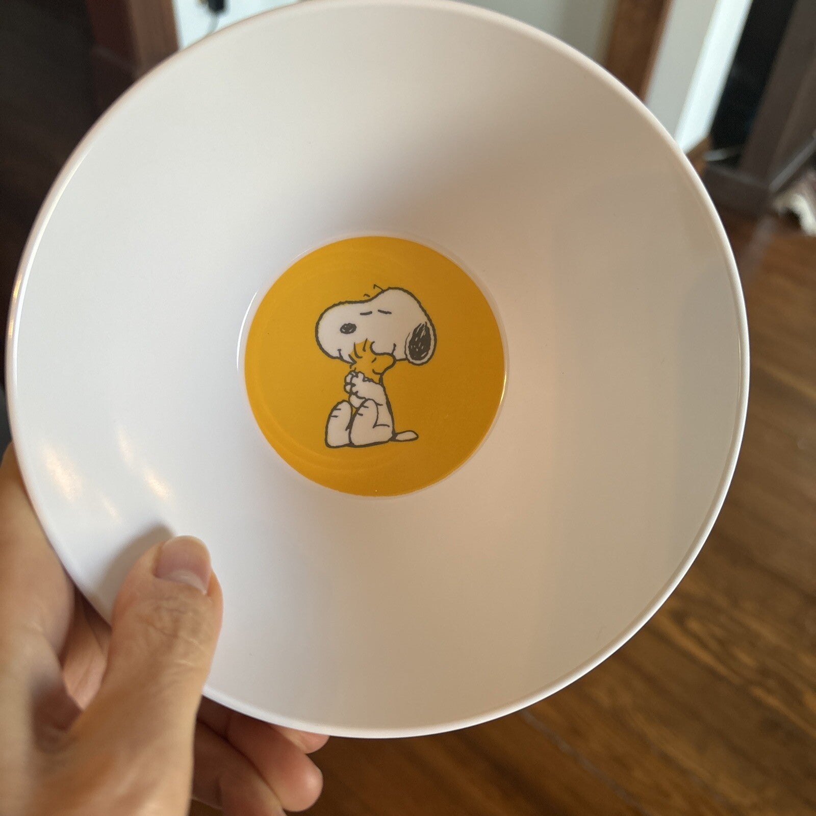 Disney Snoopy Pottery Barn peanuts holiday gift school kid party SET 4 n