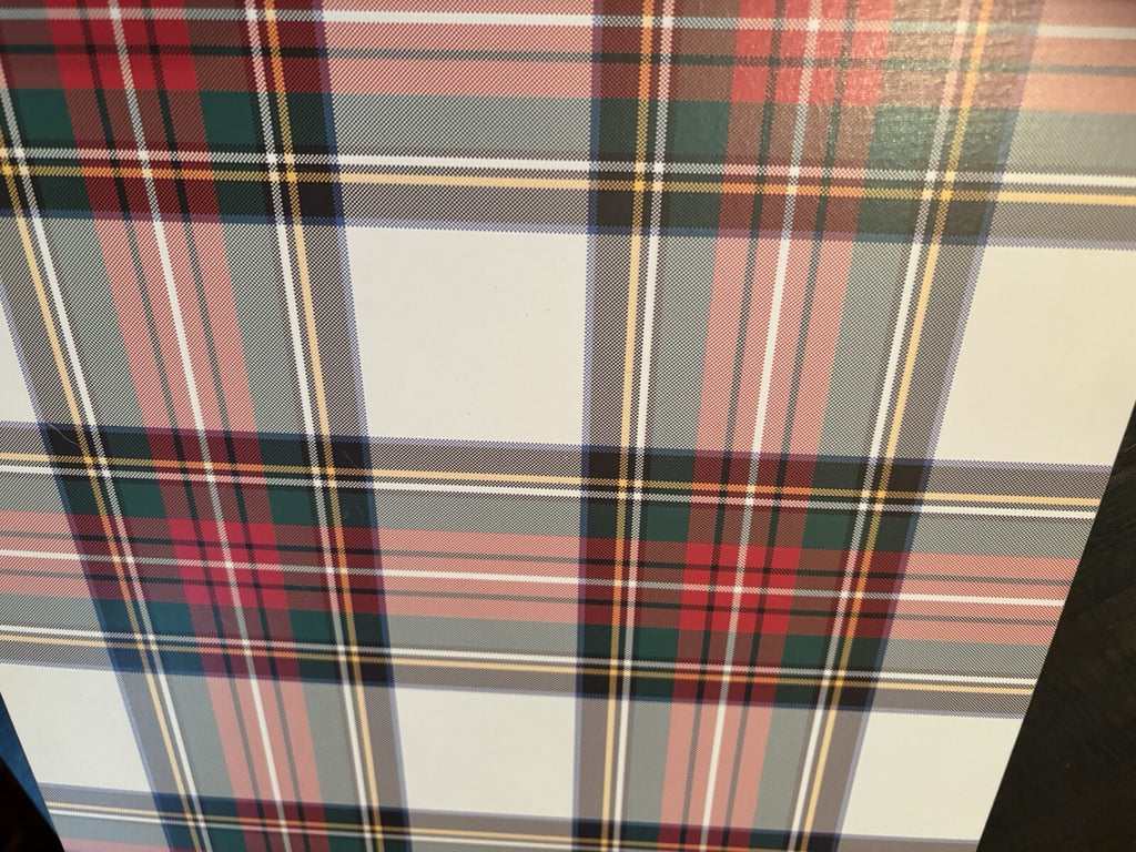 Pottery Barn Disney holiday PLAID placemat Stewart Birthday Country party kid a