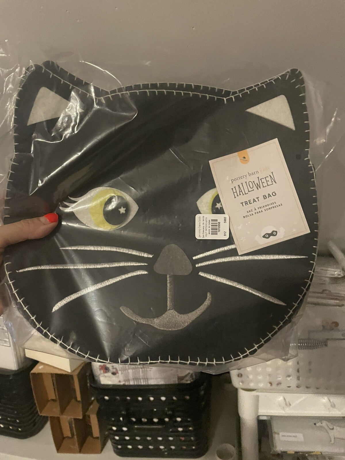 Pottery barn Disney Treat bag holiday halloween kitty cat school gift pumpkin [