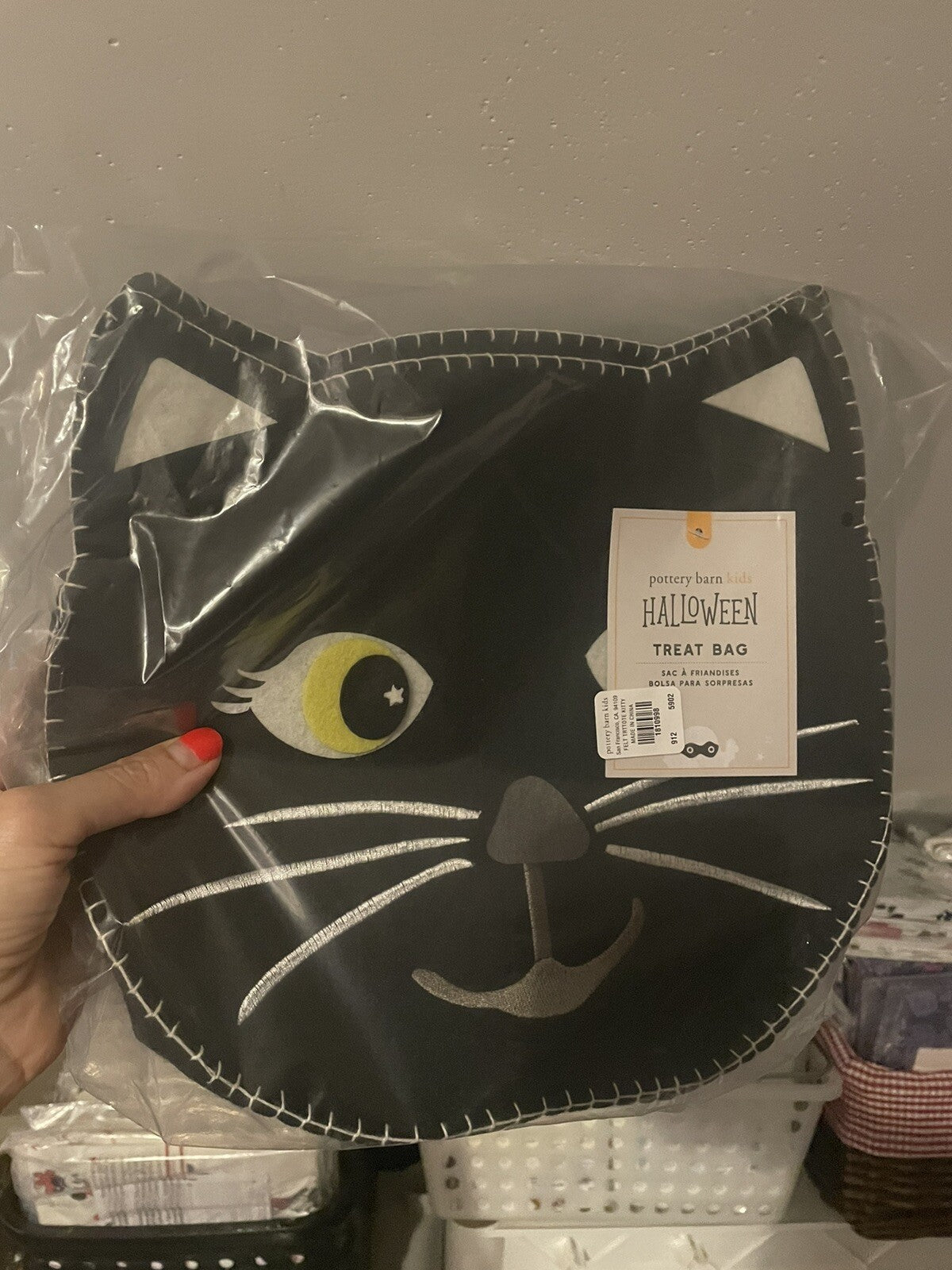 Pottery barn Disney Treat bag holiday halloween kitty cat school gift pumpkin [