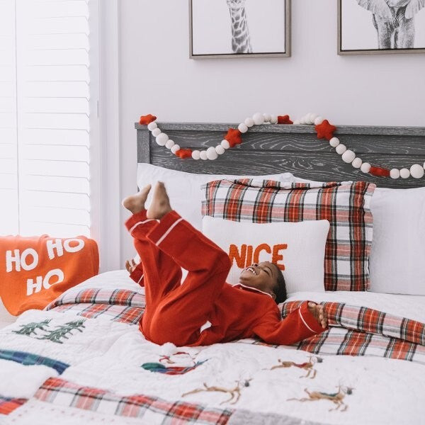 Pottery Barn holiday Disney PLAID Pillow SHAM cover Christmas party Stewart m