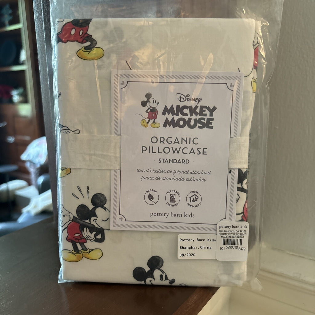 Pottery Barn Disney Mickey Mouse holiday gift party school park travel kids
